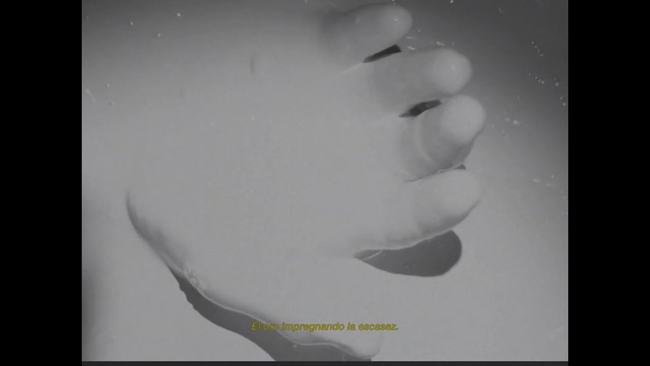 Crossed - FLORES ROTAS