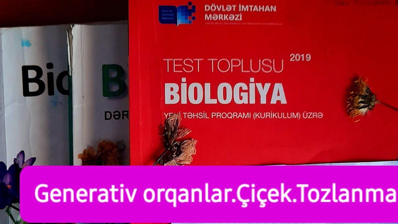Generativ orqanlar-çiçek, çiçek qruplari,tozlanma-test izahi