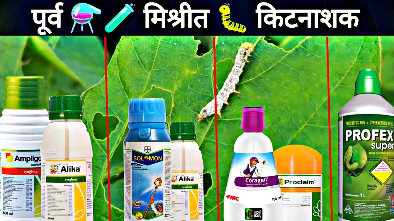 मिक्स किटनाशक | Syngenta Ampligo Alika | Adama Barazide Plethora | Solomon insecticide