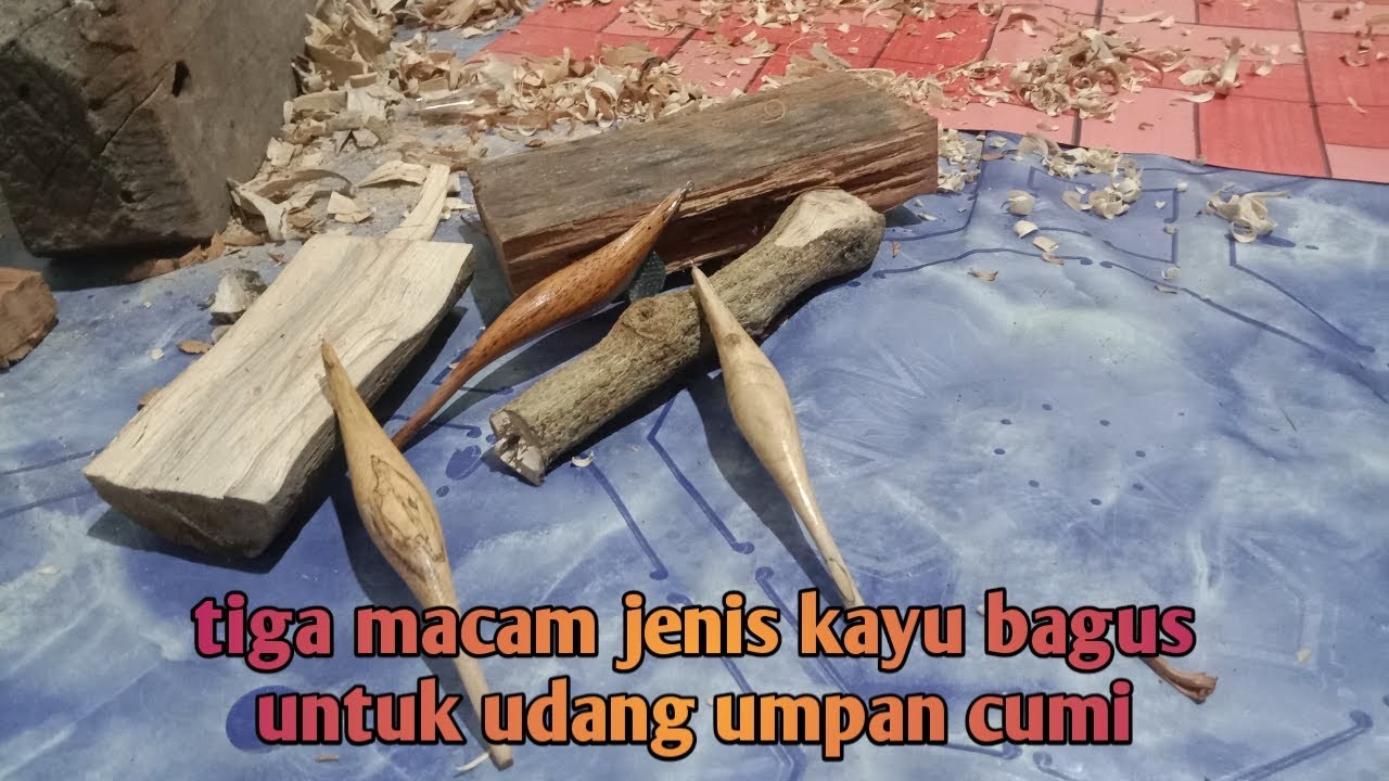 tiga jenis kayu  yang sangat bagus untuk udang udang umpan cumi