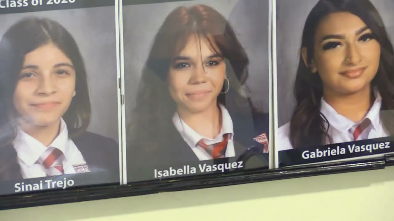 VLOG For School