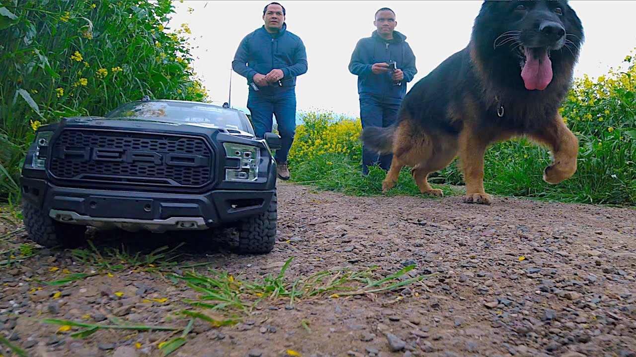 Realistic RC Truck | RC4WD RTR w the Family