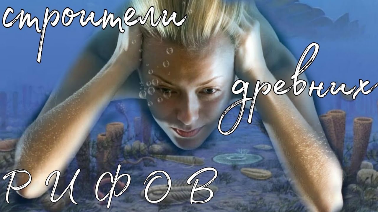 Строители древних рифов. Окаменелости каменноугольного периода. Карьер Григорово-Тучково. Петалаксис