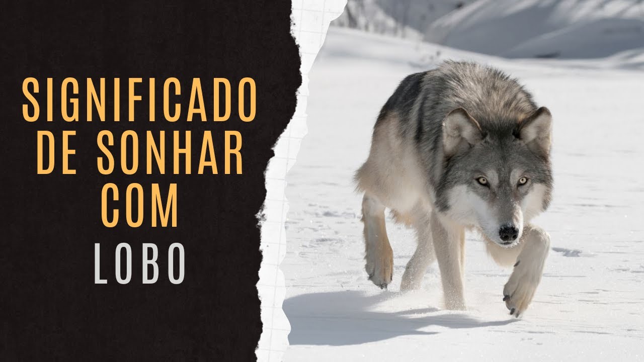 Tr&auml;ume Mit Wolf Erkl&auml;rt | Traumdeutung Von Wolf | Wolf Bedeutung | Symbolik Von Wolf