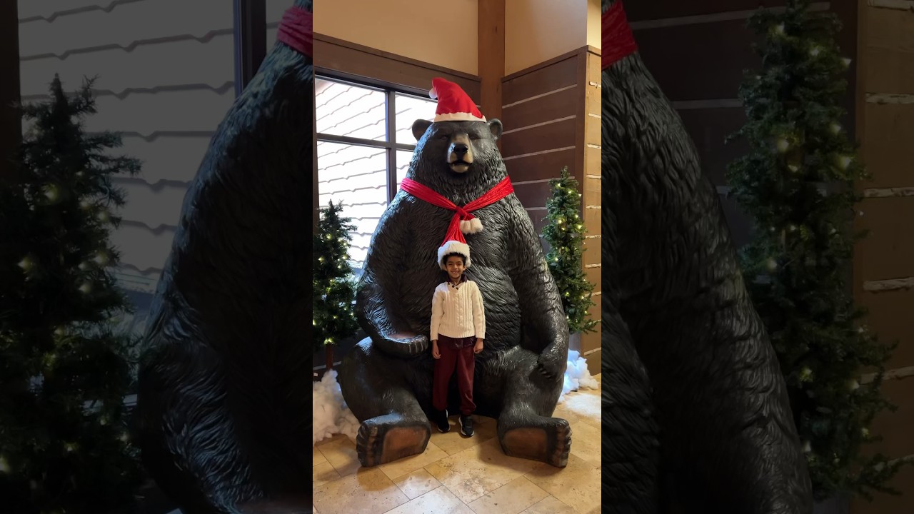 Hello from Timberridge Lodge in Lake Geneva , WI! Video coming soon of our visit! #holidayseason