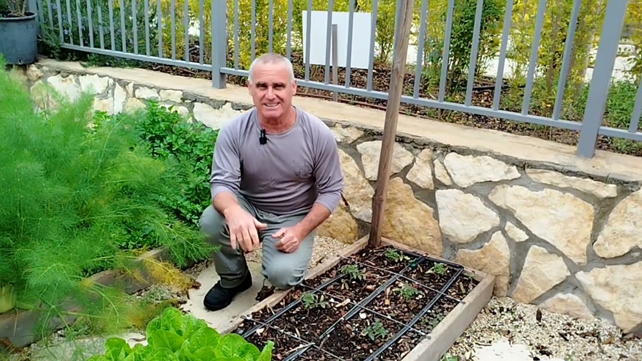 טעויות בגינת החורף