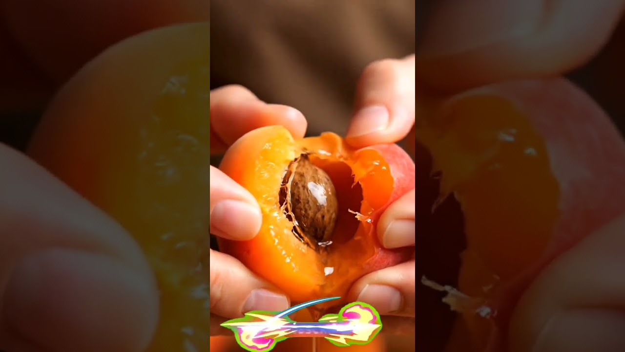“Satisfying Apricot Split ASMR 🍑✨”“Soft Apricot Breaking Sounds —Clean Hand Sounds ASMR | Apricot”