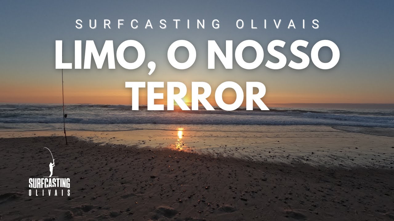 LIMO, O NOSSO TERROR | Surfcasting Olivais