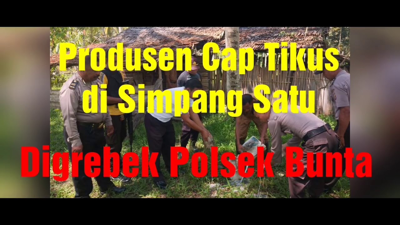 Produsen Cap Tikus di Desa Simpang Satu (Kecamatan Simpang Raya), Digrebek Polsek Bunta