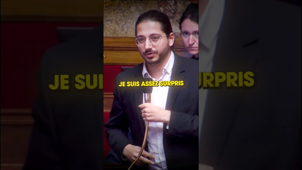 Les d&eacute;put&eacute;s RN sont des fain&eacute;ants !