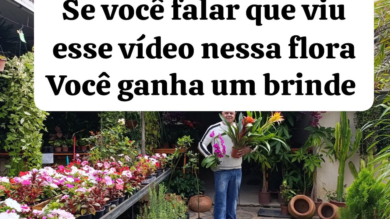 VISITEI UMA FLORICULTURA  REPLETA DE FLORES LINDÍSSIMA UM TREM DE DOIDO E TUDO BARATINHO.😍🌼🏵️🌵🌺