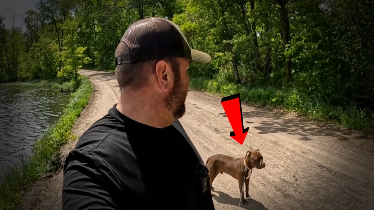 5 Most Disturbing Trail Encounters Caught On Camera
