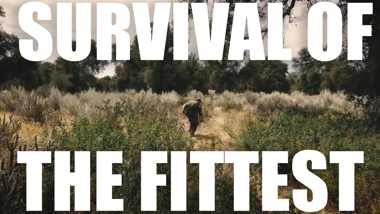 SERE training | What You Need to Know About the Course
