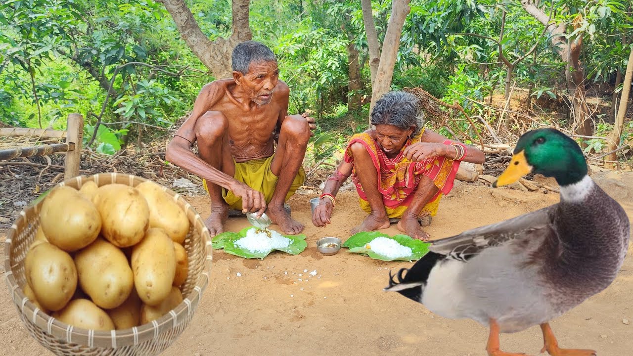 100 years old grandma cooking DUCK MEAT curry and eating with her HUSBAND || tribe people lifestyle