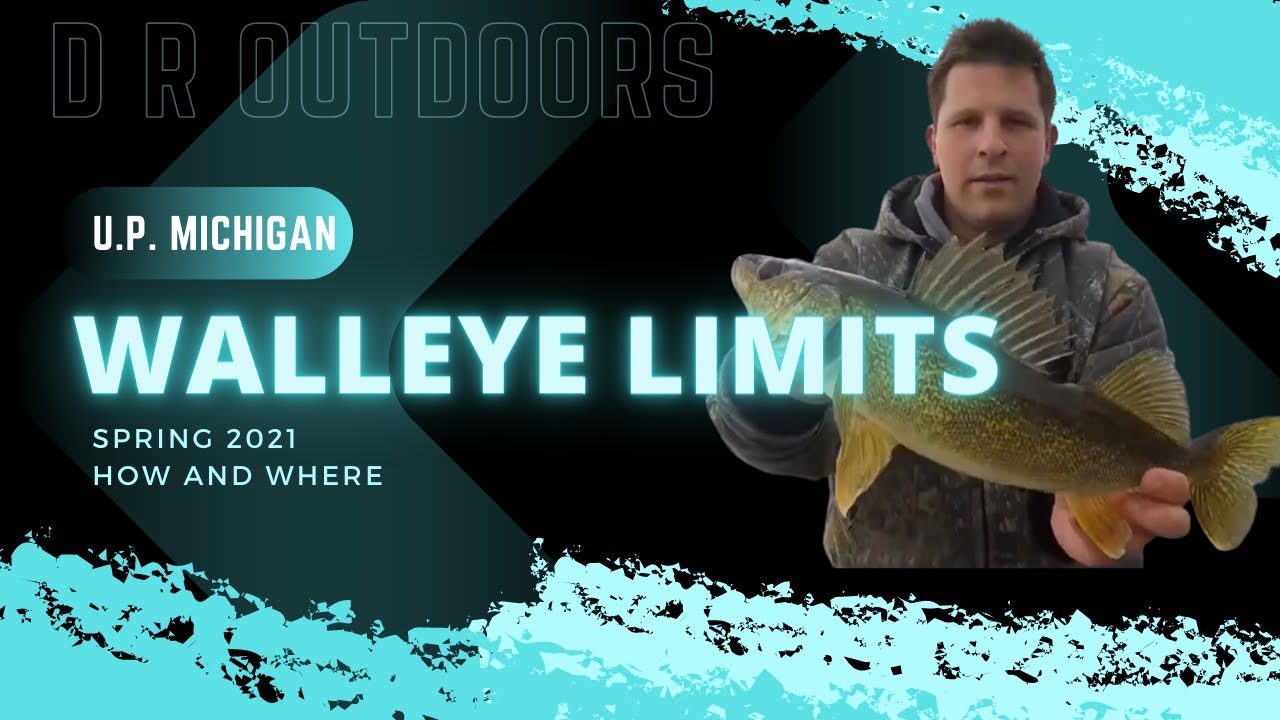Incredible Walleye Weekend in U.P. Michigan (Daily Limits)