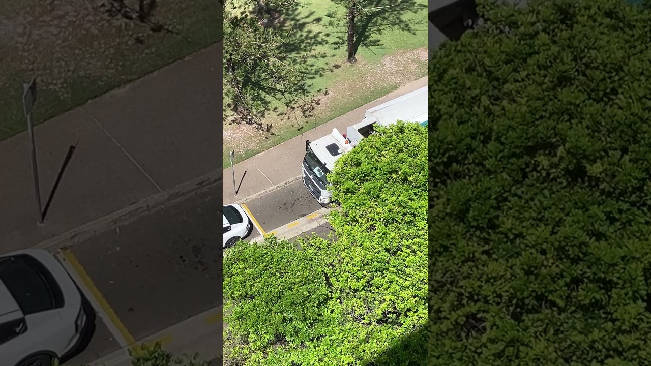 sunny coast litter p23