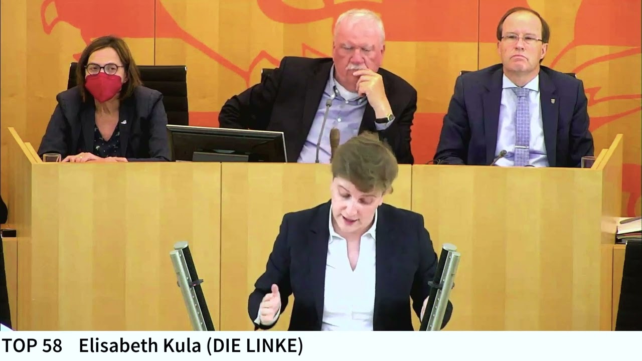 Elisabeth Kula zum Antisemitismus der AfD