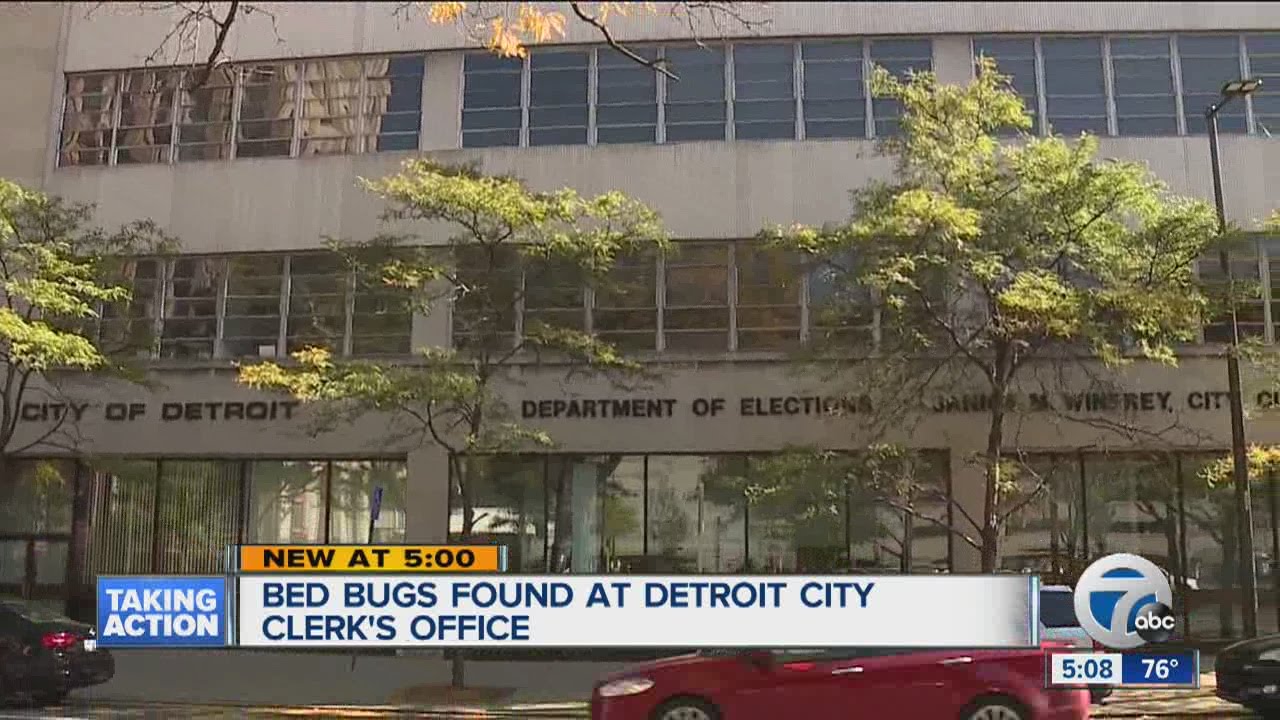 Detroit City Clerk's office closed after bed bug found