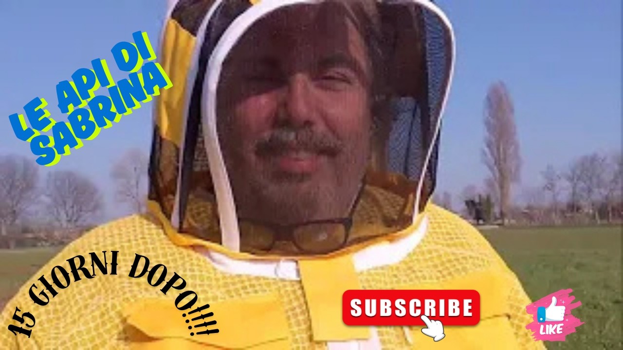 api in ripresa dopo la stretta ?