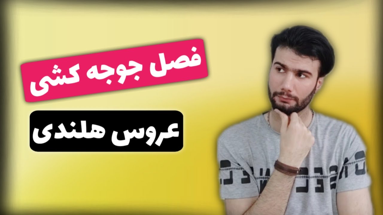 فصل جوجه کشی عروس هلندی چه زمانی هست ؟