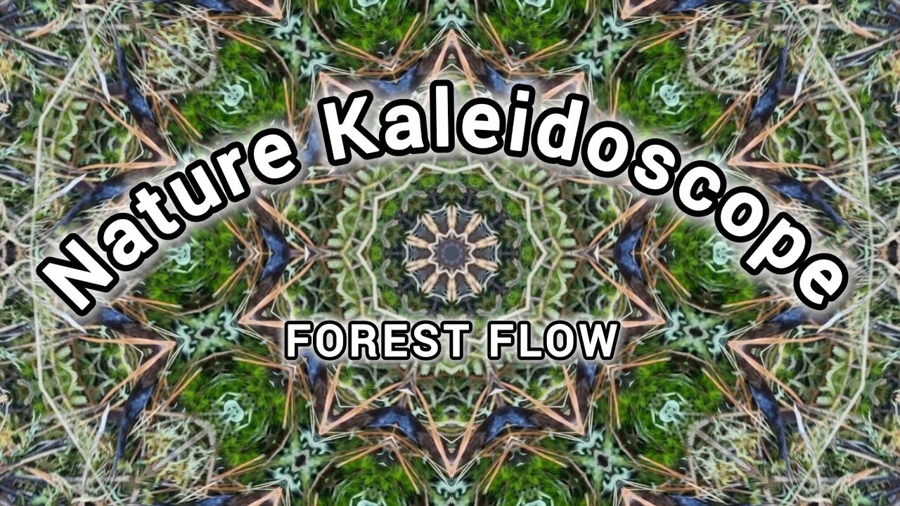 Take a mindful pause 🌿Let these forest patterns calm your thoughts.