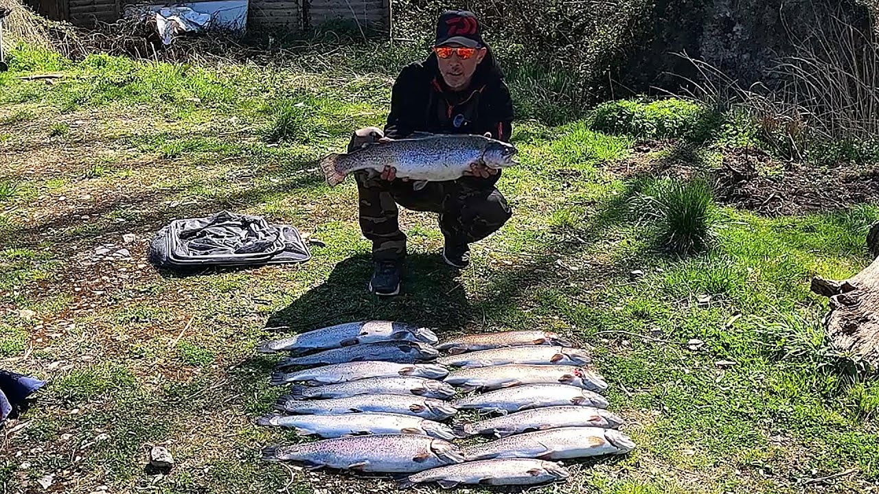 Matinée de dingue ! JE BAT MON RECCORD! Pas le temps de respirer #truite #pêche  #troutfishing