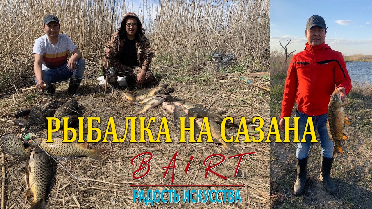 Рыбалка на Сазана