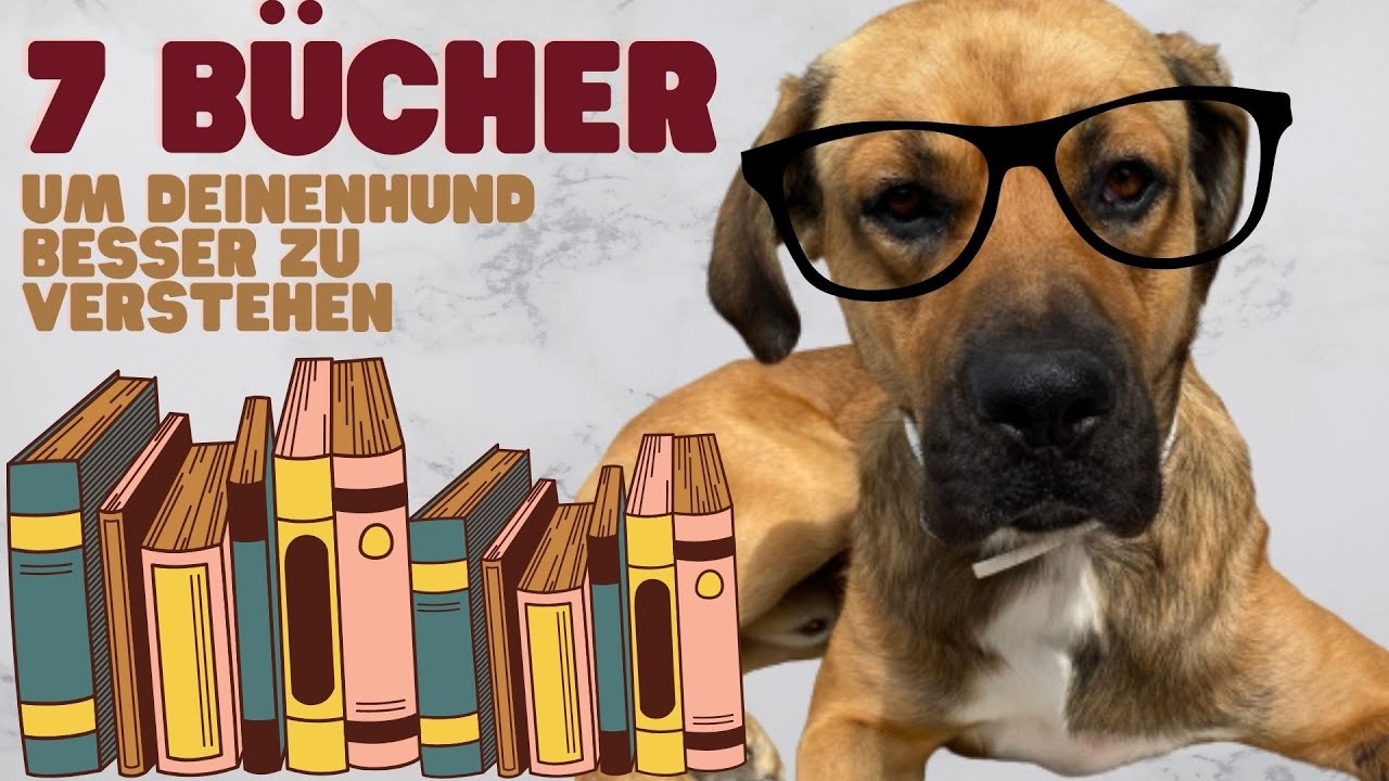 7 Bücher um deinen Hund besser zu verstehen