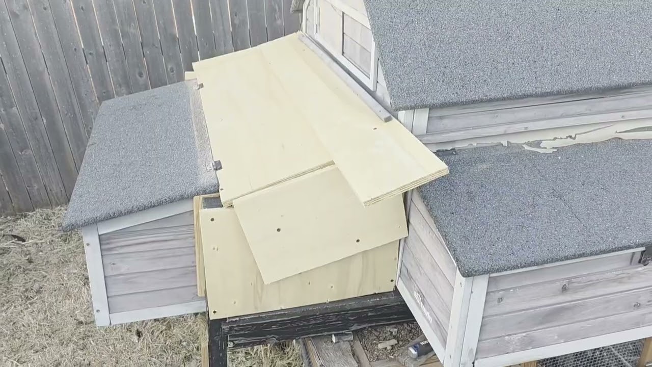 Chicken coop extended for a little extra room 