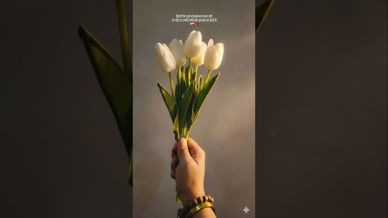 Saiyaara Movie Song 🎶 | Heart Touching Shayari | Life Quotes Status 🥀