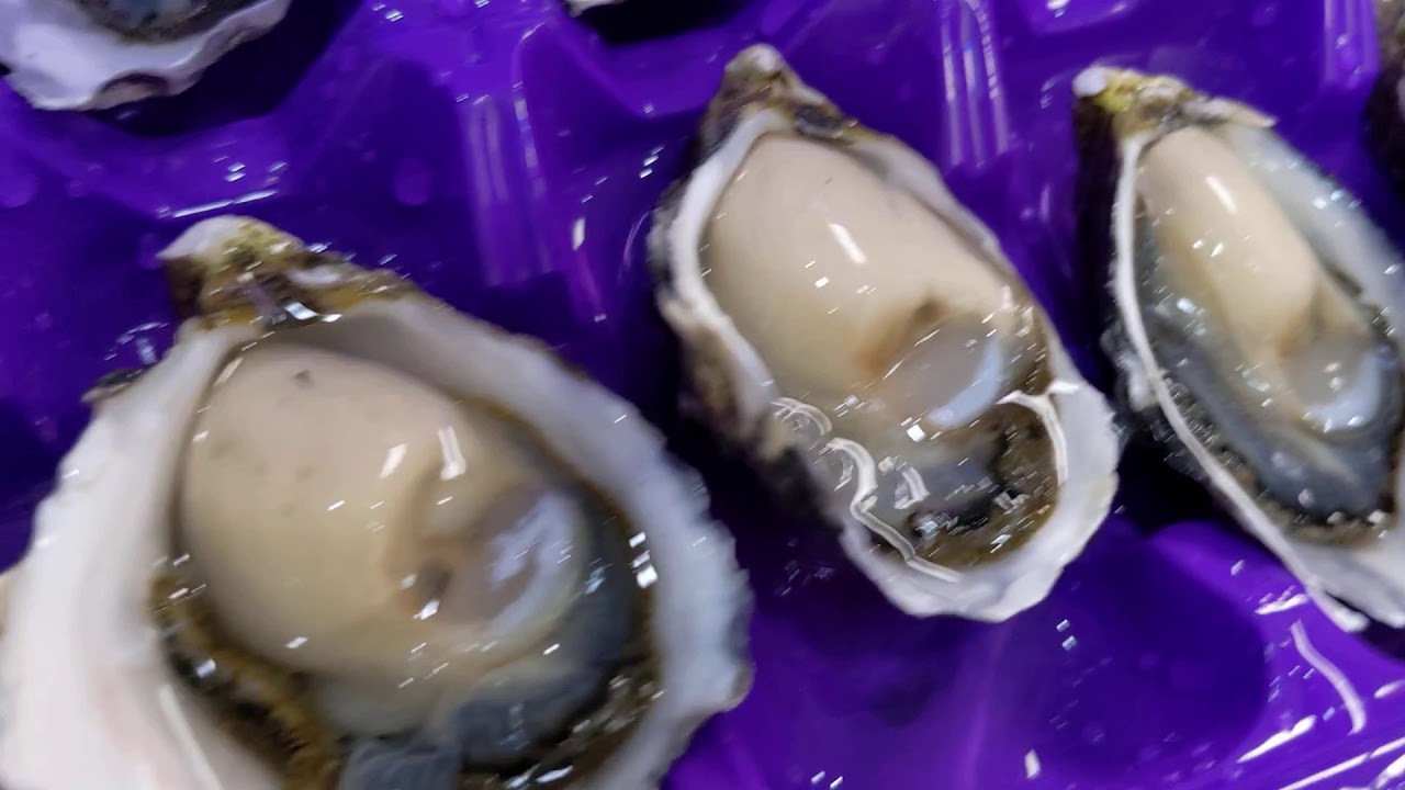 Oyster Shucking at South Melbourne Seafoods