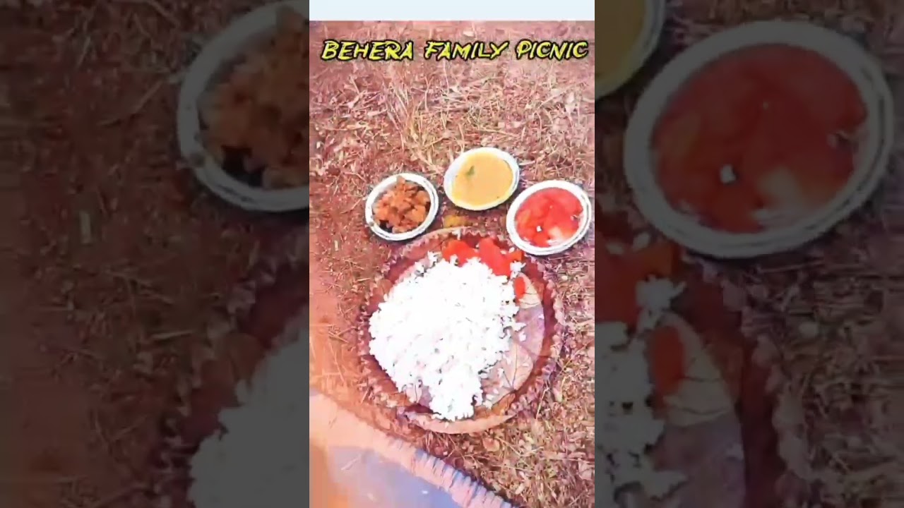 Behera family picnic happy new year 2026 