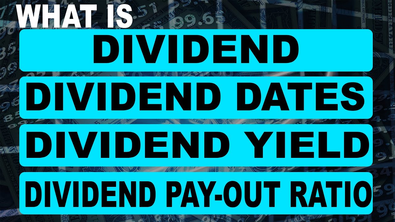 Что такое дивиденды | Важные даты выплаты дивидендов, дивидендная доходность и коэффициент выплат...