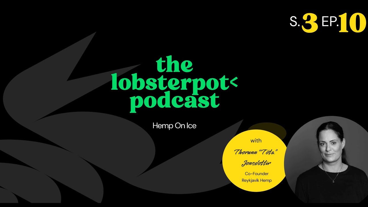 the lobsterpot S3. Ep 10. Hemp On Ice