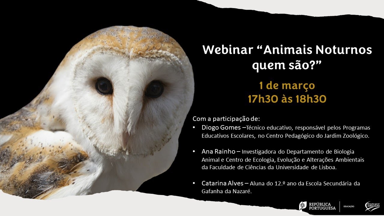Webinar Animais noturnos