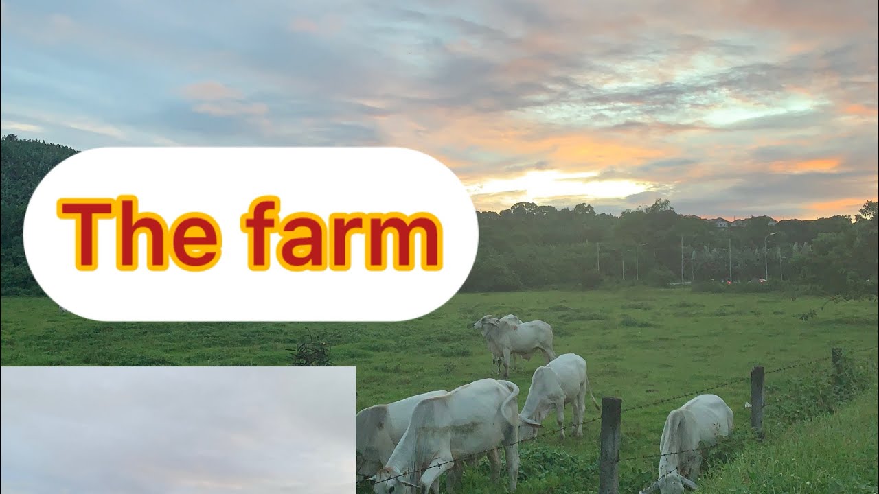 Amazing View/Beautiful Farm