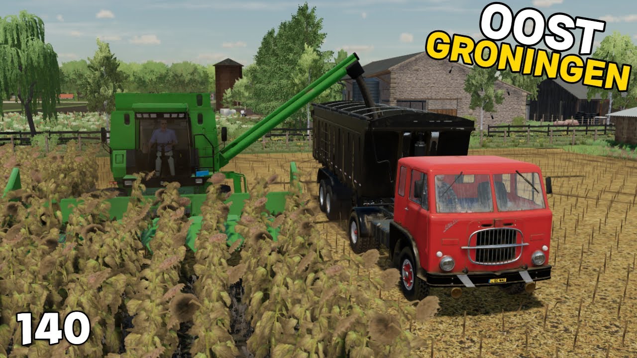 De Zonnebloemen Oogsten & De Dieren Voeren  | Oost-Groningen #140 | FS22