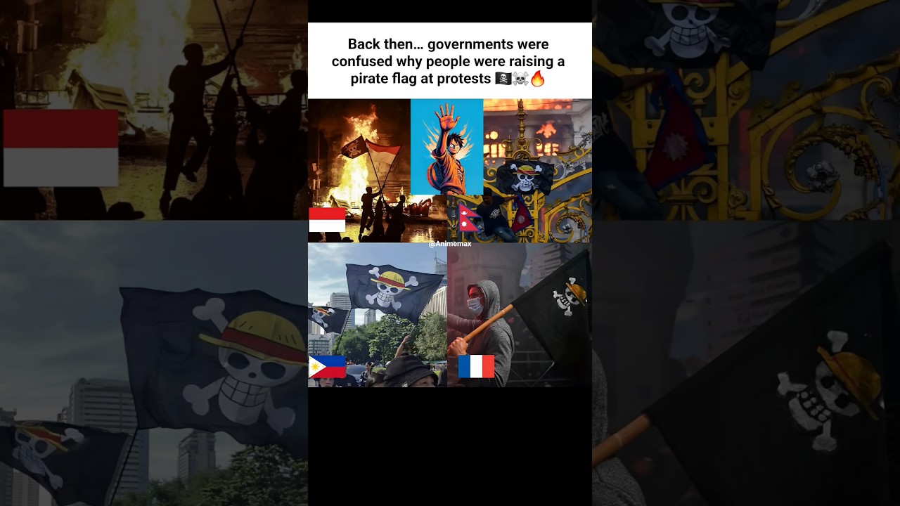 The Day Governments Saw a Pirate Flag at Real Protests ☠️ | one piece