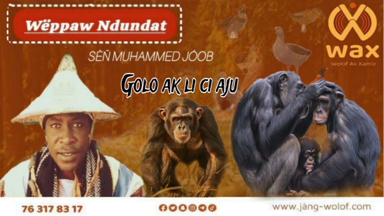 Golo ak li ci aju