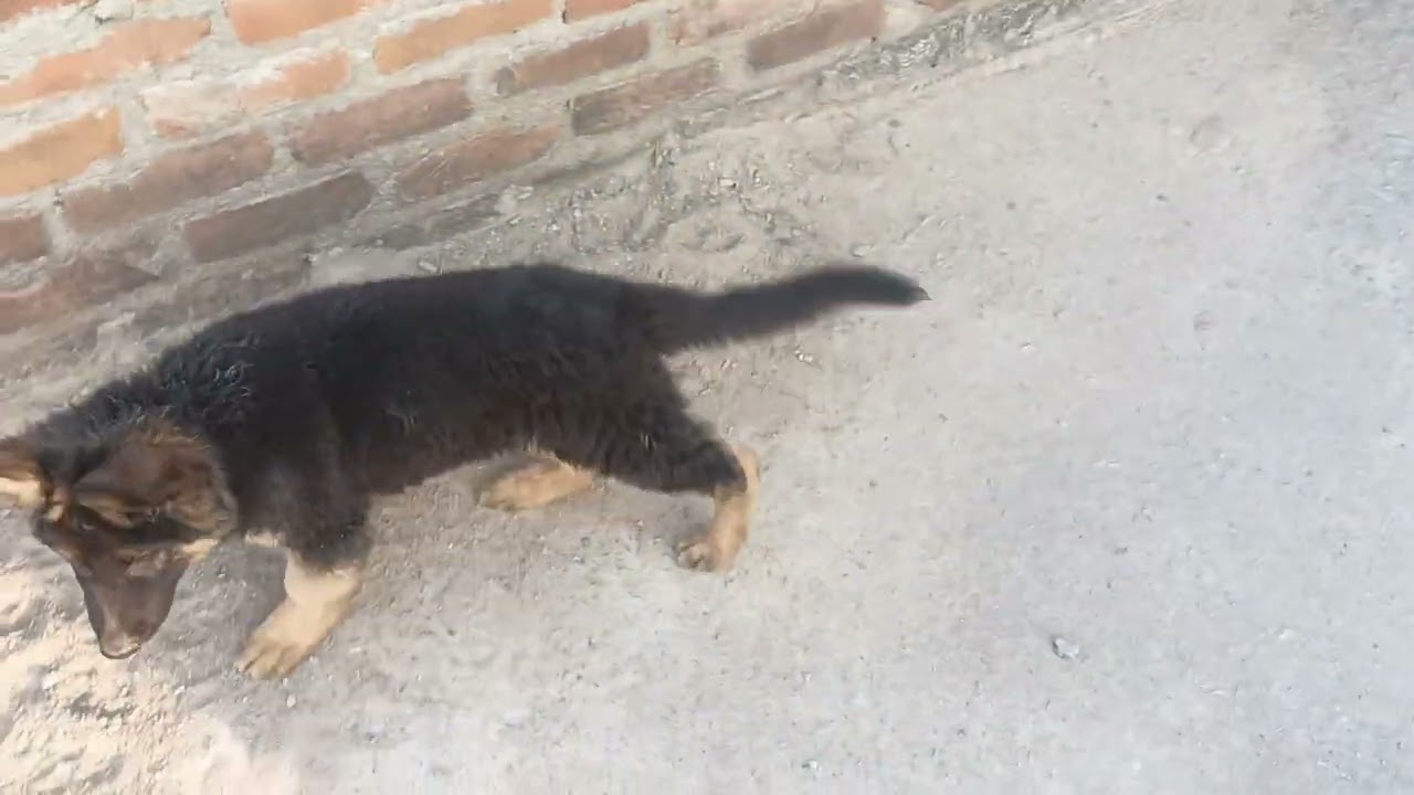 Channel per nahin Hai to channel ko subscribe jarur Kare