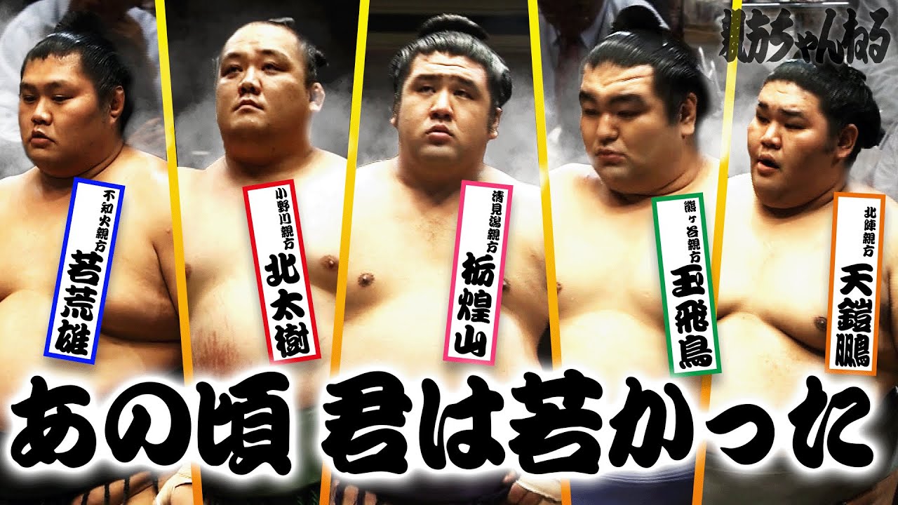 Вспоминая дни сумо у Ояката! Классические архивы майского турнира #sumo #相撲
