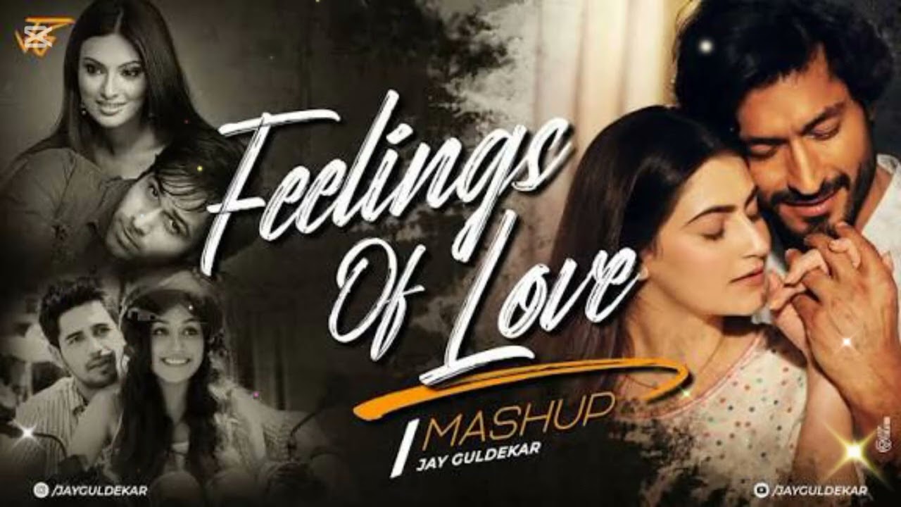 Feling of Love Mshup |Aye Ho Meri Zndgi Mein | Haan Mujhe Pyar Hai Tmse | Ye Jo Hlka Hlka Suroor Hai
