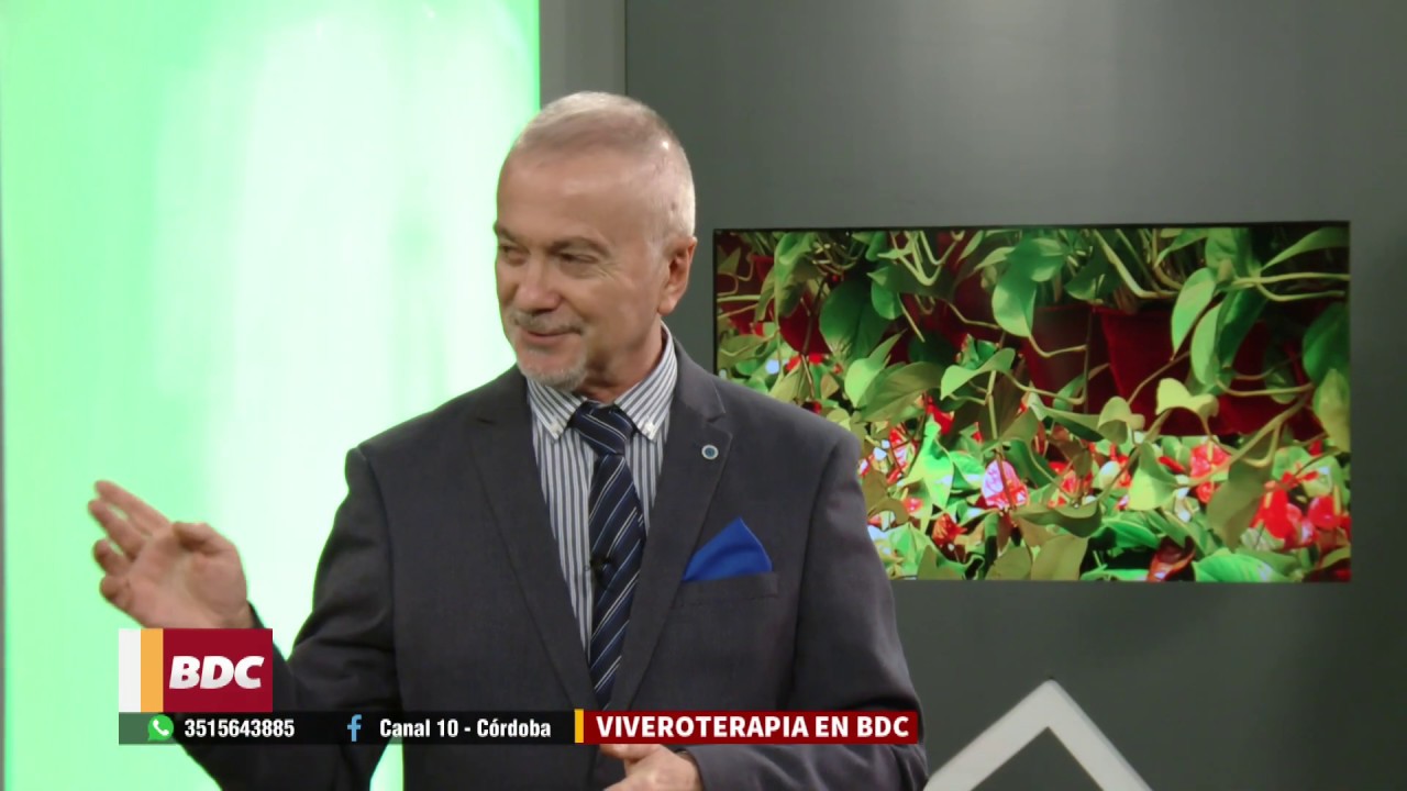 Secretos de Los Berberis Atropurpurea
