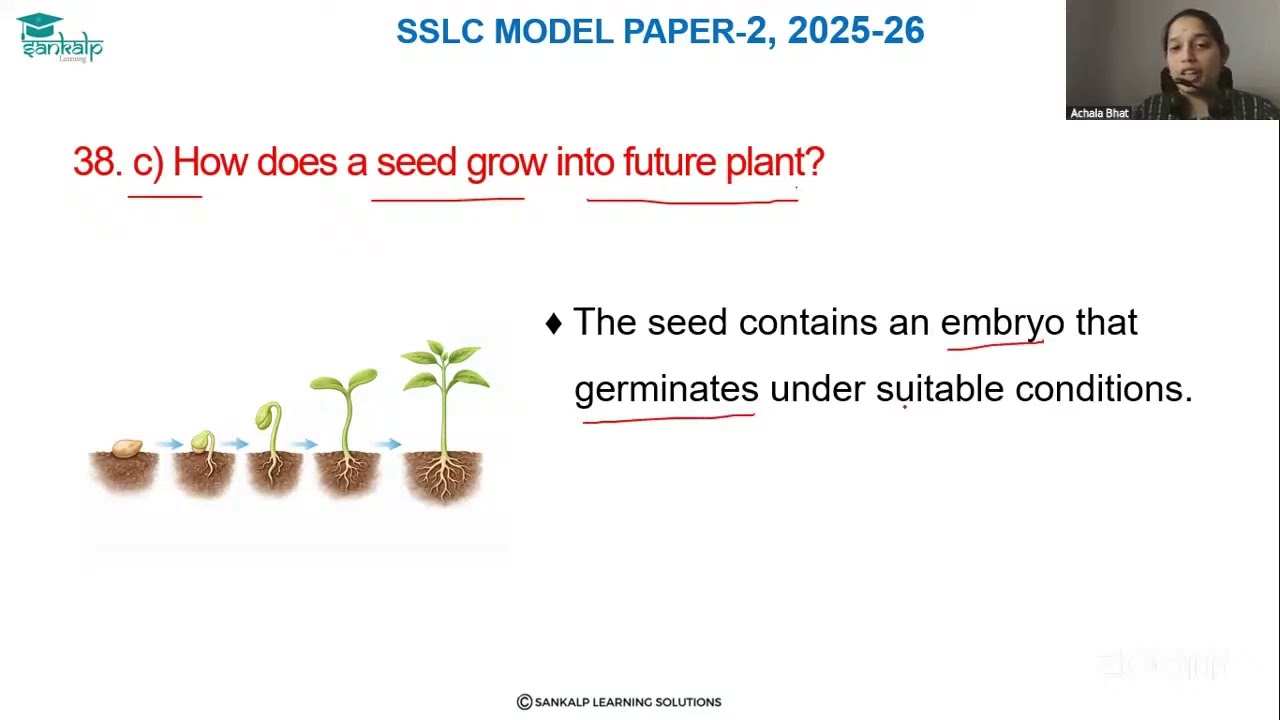 Model question paper 2 - Science - EM - Qno 38.1C