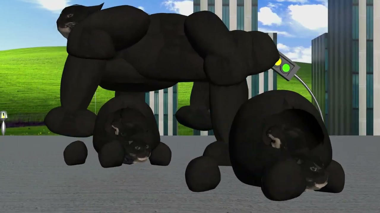 Welcome to Maxwell city