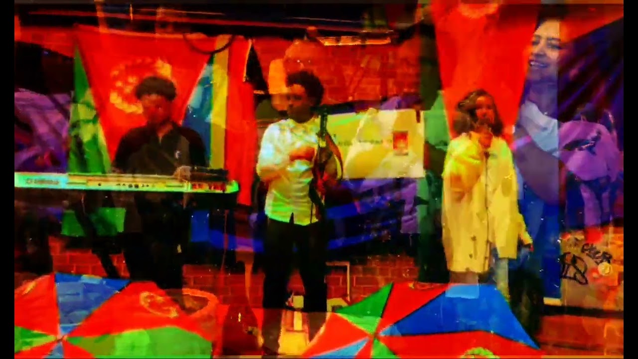 መዓልቲ ደቂ ኣንስትዮ 8 መጋቢት  ኤርትራውያን ሃምቦሩግን ከባቢኣን