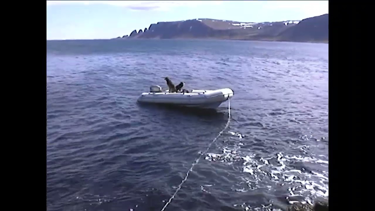 05 strandir vor 2006 001