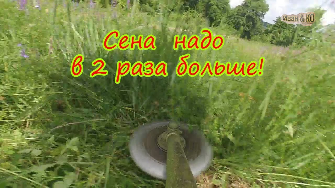 Заготовка сена мотокосой. Mow the grass forage