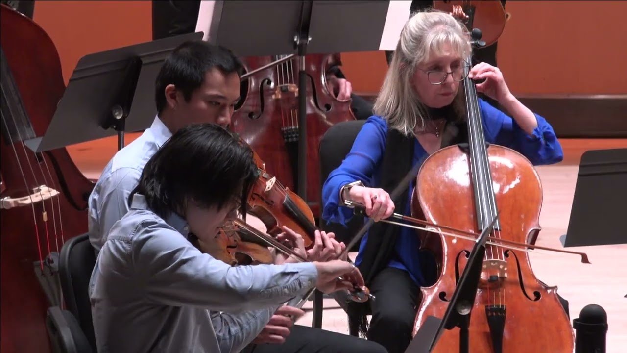 Vaughn Williams: Tallis Fantasia. MusicaNova Orchestra, Warren Cohen conductor