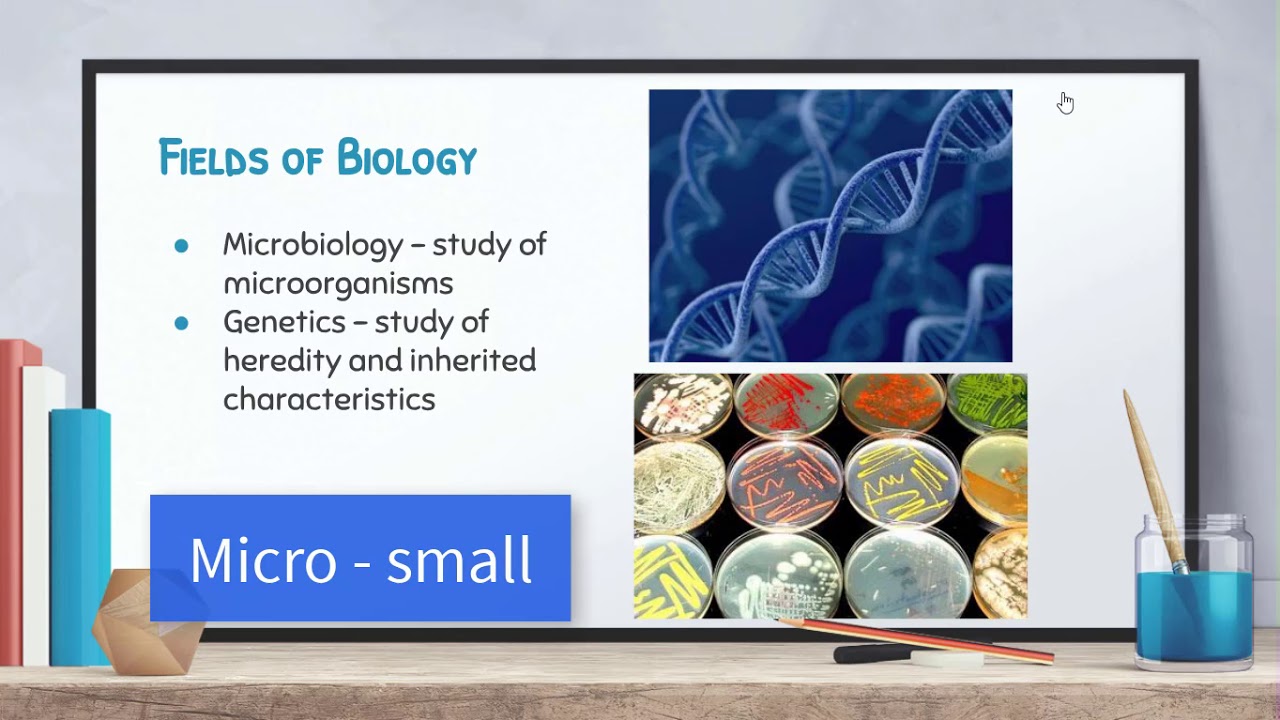 Biology: Video 1-2: Fields of Biology